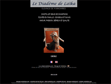 Tablet Screenshot of diademedelaika.com